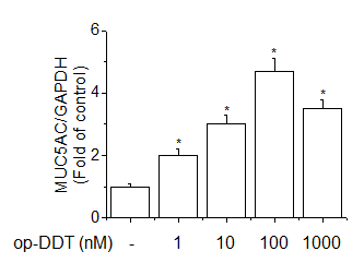 Effect of o,p'-DDT-induced MUC5AC mRNA expression in A549 cells. Cells were treated with o,p'-DDT for 24 h. Total cellular RNA was extracted from cells and then mRNA levels of human MUC5AC and GAPDH were determined by semi-quantitative RT-PCR. Results are presented as means ± SEM of three independent experiments. *Significantly different from the control at p < 0.01.