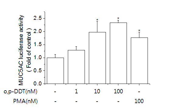 Effect of o,p'-DDT on MUC5AC luciferase activity in A549 cells. Cells were transfected with 1 μg of hMUC5AC constructs ligated to luciferase and 0.5 μg of pCMV-β-gal.