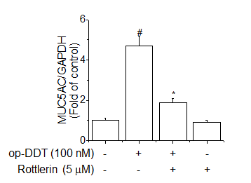 Effect of Rottlerin on o,p'-DDT-induced PKCδ activation in A549 cells.