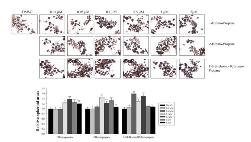 Effects of three bromo compounds on spheroid formation in HT29 cells. 1-Bromopropane,2-bromopropane, and 1,2-dibromopropane were treated to the cells and cultured for 3 weeks. Formed spheroids were counted and found that spheroid area were increased.