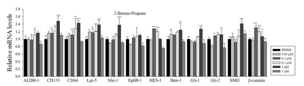 Effects of 2-bromopropane on the expression of stem cell markers in CSC221 cells. mRNA was analysed by qRT-PCR.