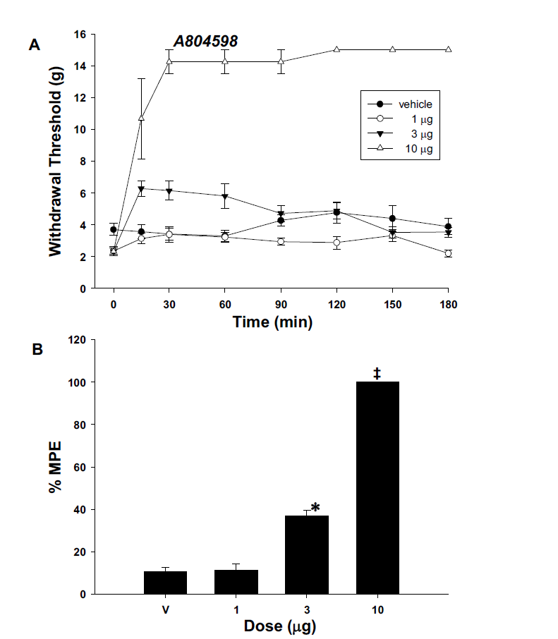 The time effect (A) and dose-response (B) of intrathecal A804598 for hindpaw withdrawal response to von Frey filaments after spinal nerve ligation.