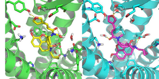 TRK820-OPRK t20 complex