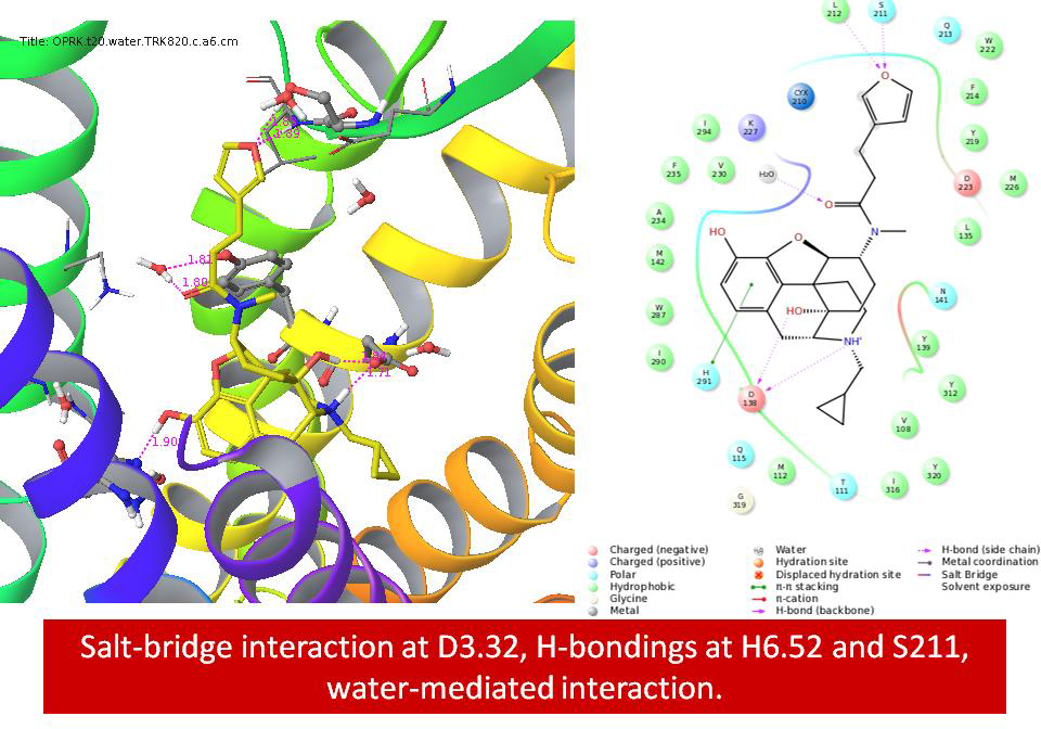 TRK820-OPRK t20 complex