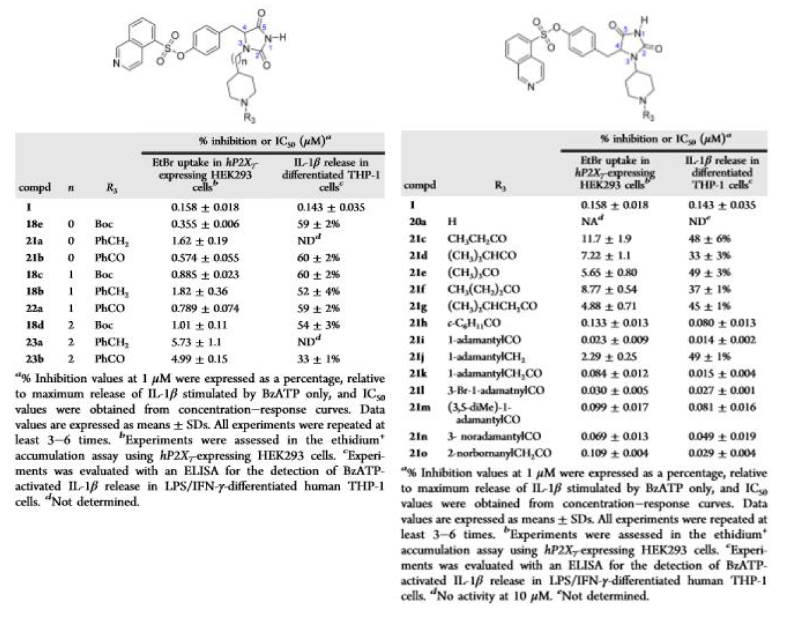 Position of 2,5-Dioxoimidazolidine and R3 Substitutions in P2X7R Antagonistic Activity