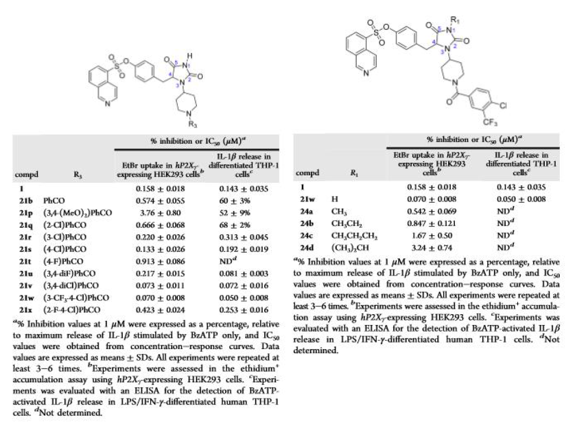 Position of 2,5-Dioxoimidazolidine and R1 Substitutions in P2X7R Antagonistic Activity