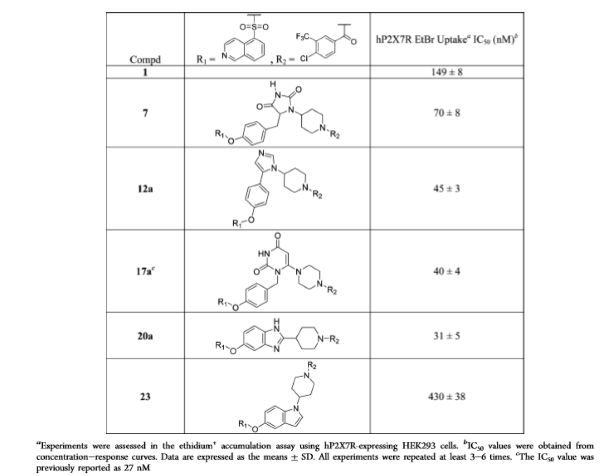 P2X7R Antagonist Activity of Various Core Skeletons with a 4-(3-CF3-4-Cl-Benzoyl) Substituted Piperidine Substituent