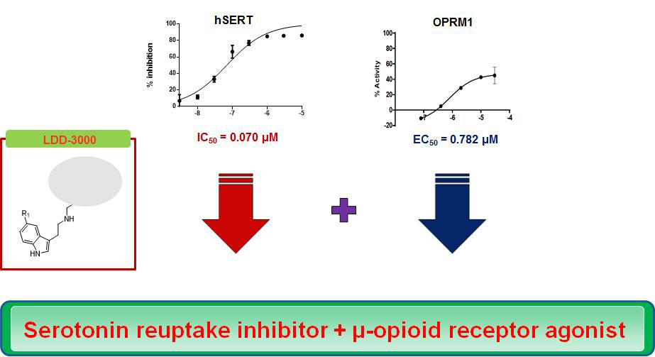 Multifunctional compounds (Drug A+ Serotonin)의 in-vitro 활성 평가