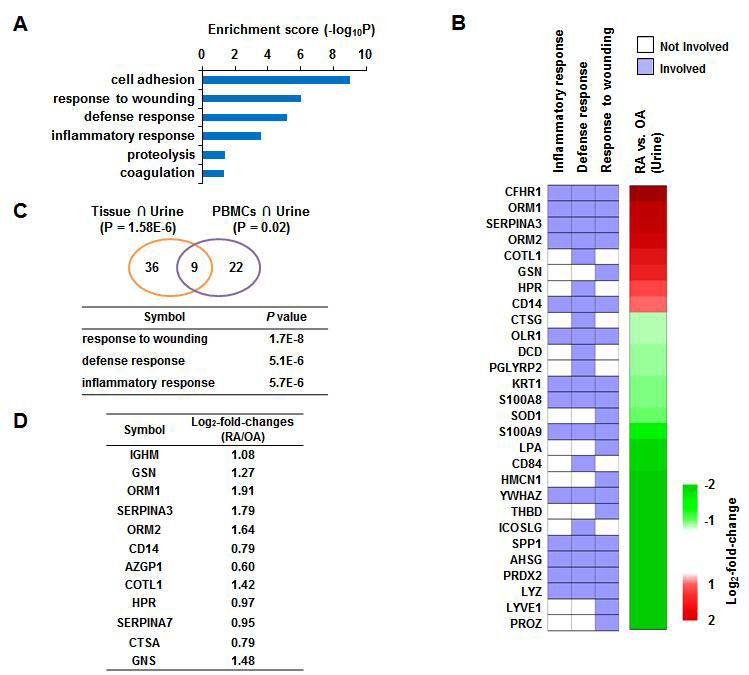 Selection of initial biomarker candidates for RA