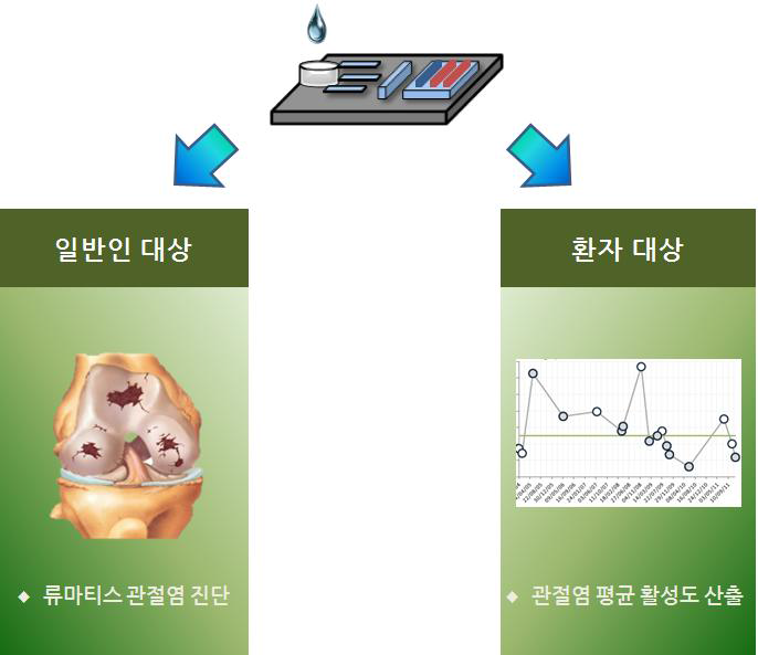 류마 키트의 임상 적용 모식도