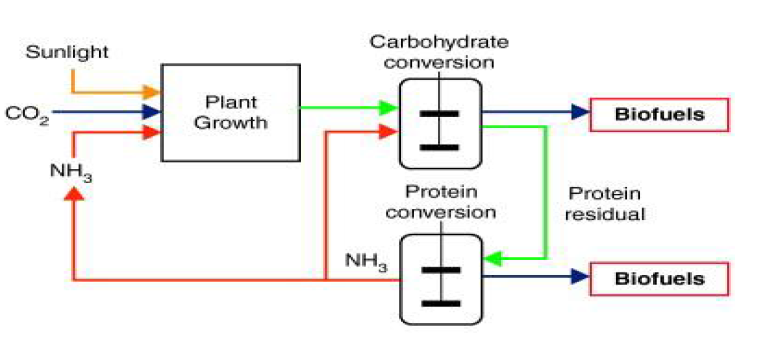 바이오연료 생산 내 carbon cycle과 nitrogen cycle [Huo et al., 2012]