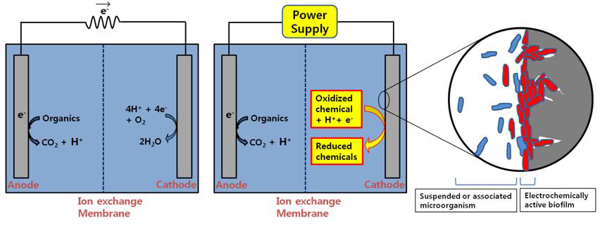 MFC(Microbial Fuel Cell)와 Bioelectrochemical synthetic cell의 모식도