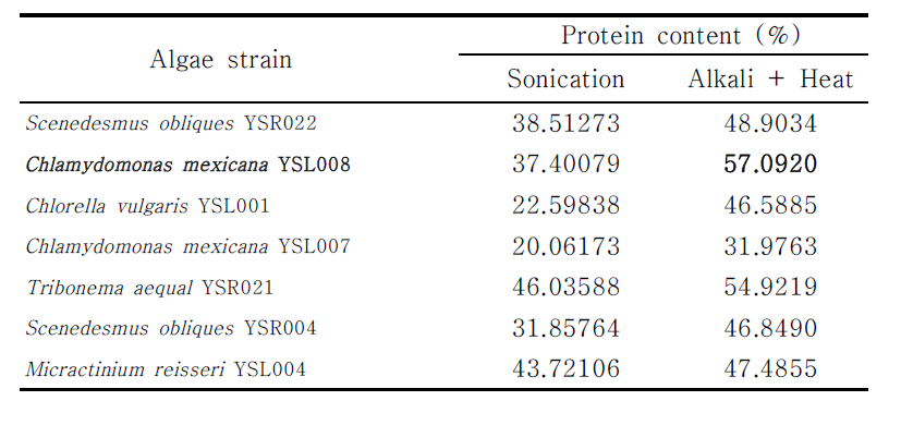 전처리에 따른 조류 내 단백질 함량