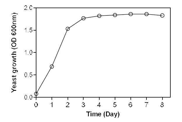 효모 S. cerevisiae의 성장 곡선