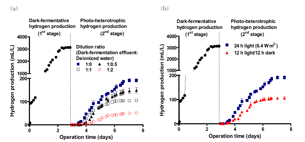다단 (혐기+조류배양조) 공정에서 (a) 혐기 유출수 농도와 (b) 빛 주기에 따른 수소 생산