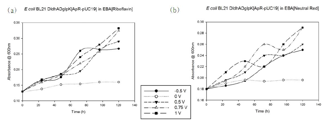 (a) riboflavin을 E. coli와 전극 간 전자전달체로 사용한 EBA 실험 결과, (b) neutral red를 E. coli와 전극 간 전자전달체로 사용한 EBA 실험 결과. 전압분배회로를 이용해 반응기에 설치된 양전극간에 각각 -0.5 V, 0.5V, 0.75V and 1V의 전압차를 부가하였고, 0V의 경우 컨트롤로서 부가된 전압은 0V임