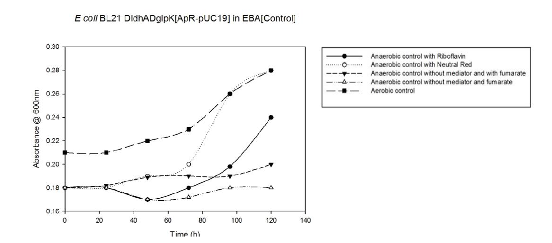 무산소 조건에서 50µM riboflavin과 50µM neutral red를 전자전달체로 사용하여 40mM fumarate를 전극을 대신해 최종 전자수용체로 사용한 컨트롤 실험 결과. Aerobic control은 산소를 전자수용체로 사용하였음