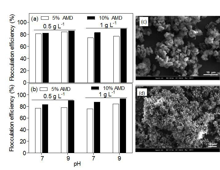 Flocculation efficiency of S. obliquus (a) and C. vulgaris (b) SEM(Scanning Electron Microscope) of S. obliquus floc (c) and C. vulgaris floc (d) upon the addition of 10% AMD