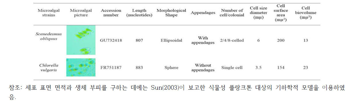 The accession numbers, lengths in base pairs and morphological characteristics of microalgal species used for coagulation/flocculation experiments by AMD
