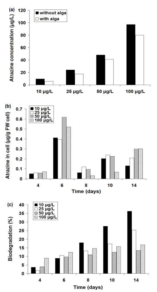 a Residual atrazine in the control (without alga) and alga-containing media after 14 days, and b, c bioaccumulation and biodegradation of atrazine by C. mexicana after 4, 6, 8, 10, and 14 days, at 10–100 μg/L in BBM. Values are a mean of two experiments