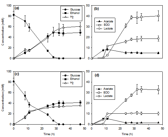 Analysis of metabolite profile from glucose metabolism. (a) and (b) non-BES fermentation, (c) and (d) BES fermentation