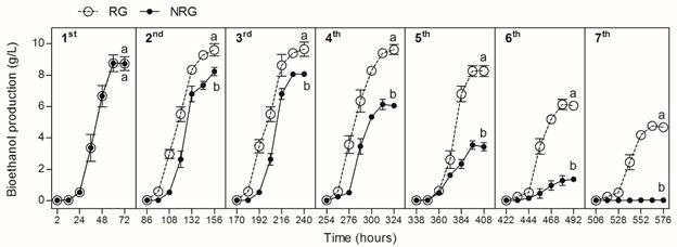 Cumulative bioethanol production from SSF of C. mexicana biomass through 7-cycles