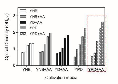 Growth pattern of Saccharomyces cerevisiae cultivated under different media for 10 days