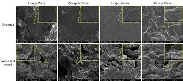 Scanning electron micrographs of FPWs biomass samples before and after 0.2 M acetic acid pretreatment (100 °C for 1 h)