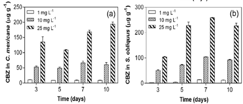 Cellular accumulation of CBZ by C. mexicana (a) and S. obliquus (b) under different CBZ concentrations