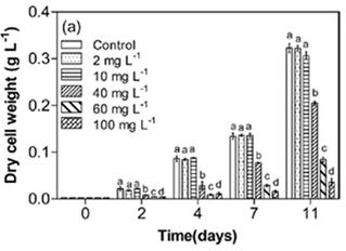 Effects of CIP concentrations on microalgal growth in terms of dry cell weight of C. mexicana