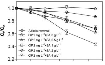 Effects of sodium acetate on total removal kinetics of ciprofloxacin by C. mexicana
