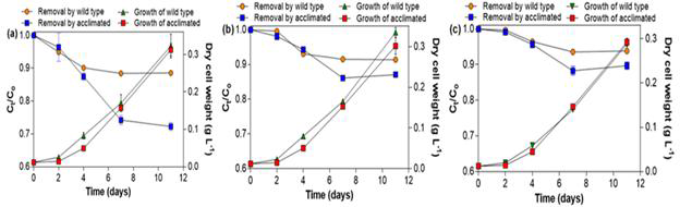 Removal of LEV and dry cell weight (DCW) of wild type and acclimated C. vulgaris (acclimated at 200 mg L−1 of LEV) cultivated in BBM containing 1 mg L-1 of LEV (a), 5 mg L−1 of LEV (b) and 10 mg L−1 of LEV (c)