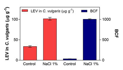 Cellular accumulation and bioconcentration factor (BCF) of LEV by C. vulgaris at 0 and 1% NaCl