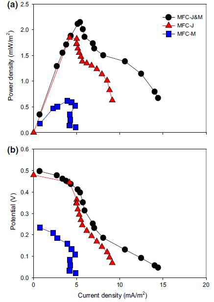 공배양 미생물 연료전지에서 발생한 높은 power density