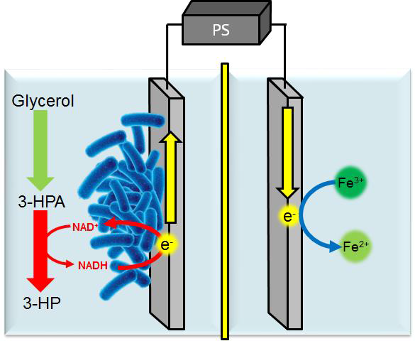 3-HP의 생산을 위한 생물전기화학반응기