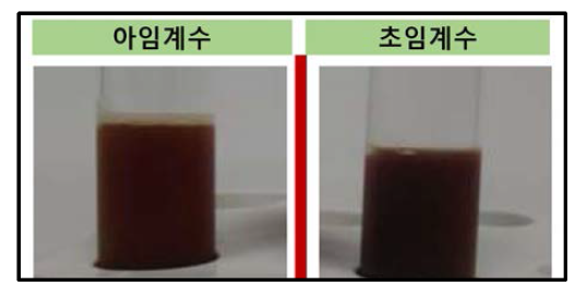 아임계수(왼쪽)와 초임계수(오른쪽) 처리 시 가수분해물의 외관 비교