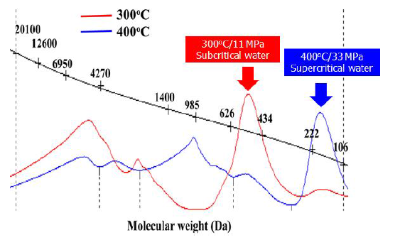 아임계수(빨강)와 초임계수(파랑) 처리 시 가수분해물의 분자량 비교