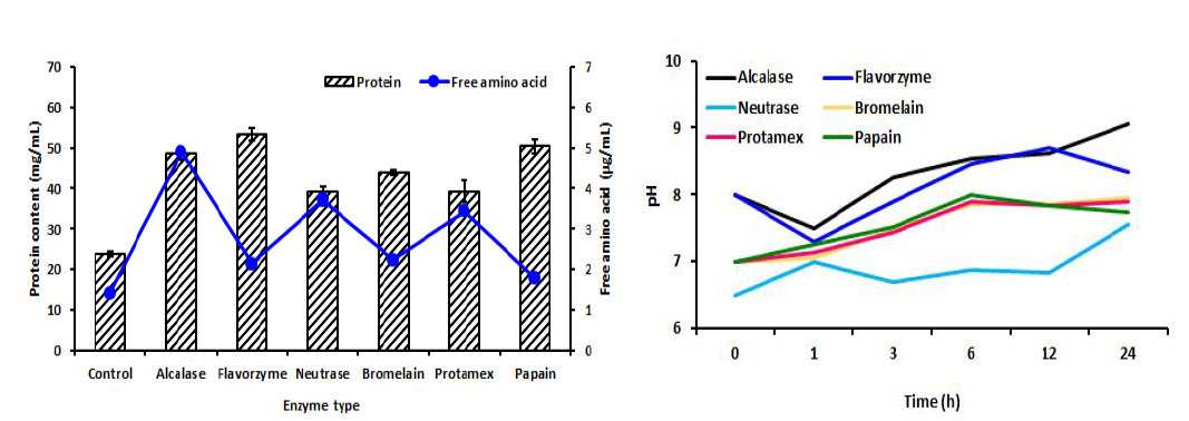 효소가수분해물의 단백질/유리아미노산 함량(왼쪽) 및 pH(오른쪽) 변화