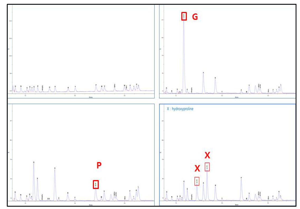 크로마토그램 잔기 확인 (Y axis : -2 ~ 50 mV) 좌상: PTH-Standard, 우상: 1st residue chromatogram, 좌하: 2nd residue chromatogram, 우하: 3rd residue chromatogram