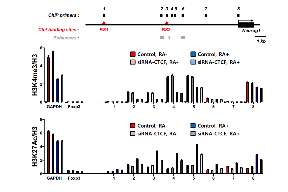 Neurog1 유전자 부위의 Histone modification 분석