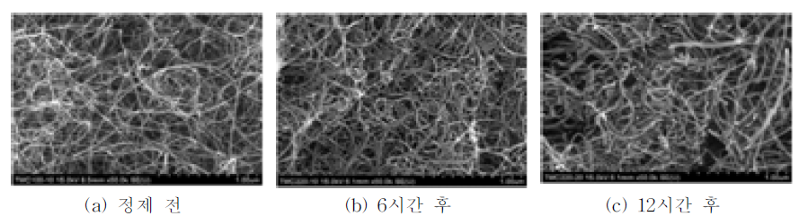 CNT화학 정제를 통한 시험편 FE-SEM 촬영 사진