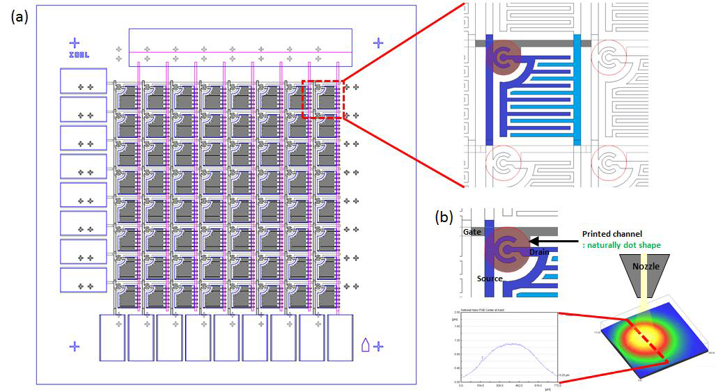 (a) 1T1S 구조의 8×8 센서 어레이의 회로 구조. (b) 기상 젯프린팅으로 제작된 닷 패턴의 형태 및 코비노 구조 TFT
