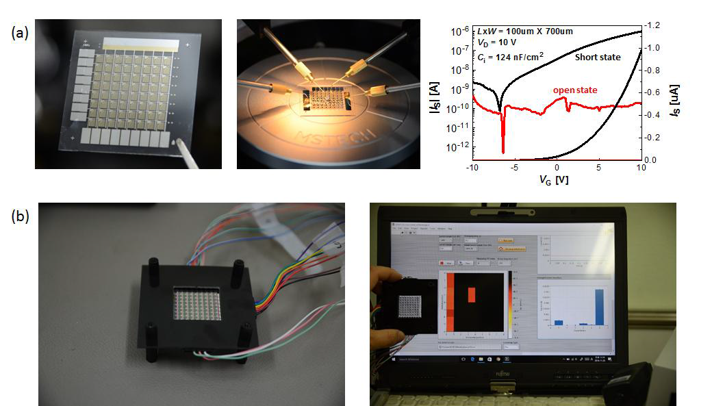 (a) 기상 젯프린팅으로 제작된 IZO TFT를 이용한 8×8 및 센서 구동 특성. (b) 능동구동 센서 어레이의 측정환경 및 구동 예