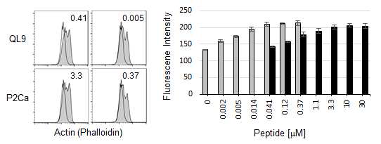 F-actin polymerization in 2C T cells activated by natural Ldb7-1ICAM-1 pMVs loaded with different concentration of p2Ca and QL9, respectively. After culture with peptide loaded pMVs for 5 min, 2C T cells were fixed with PFA and permeabilized with Triton X-100 and stained with FITC-labeled Phalloidin. The levels of F-actin in the cells were determined by the fluorescence intensities of FITC.