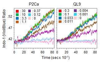 Changes in [Ca2+]i in 2C T cells being cultured with LdB7-1ICAM-1pMVsloadedwithseriallyd ilutedconcentrationsofP2CaorQL9at37oCw eremeasuredusingflowcytometryandplott ed.Theconcentrationsofeachpeptideloaded topMVswereasdenoted.