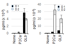 Production of IFN-g by 2C T cells cultured with LdB7-1ICAM-1 pMVs loaded with P2Ca and QL9, respectively.