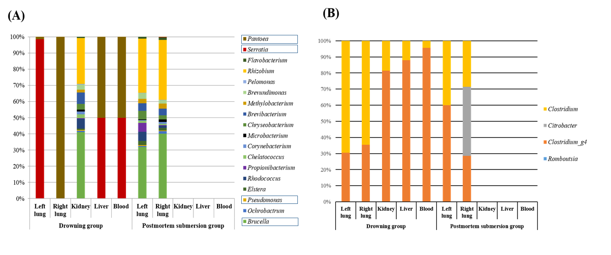 Taxonomic composition analysis at the genus level of seawater (A) and freshwater (B). Although these genera were found all samples in drowning group, they were not detected in closed organs of postmortem submersion group.