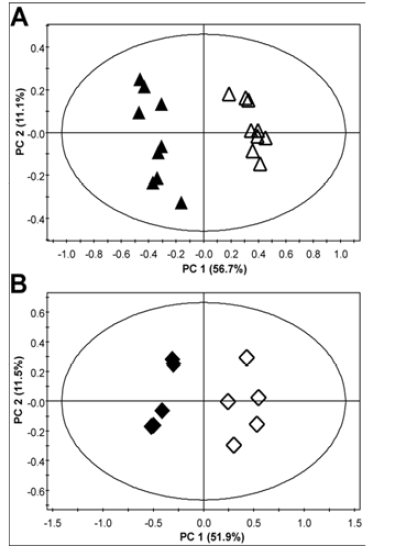 신수질 집합관 세포 PCA score plot