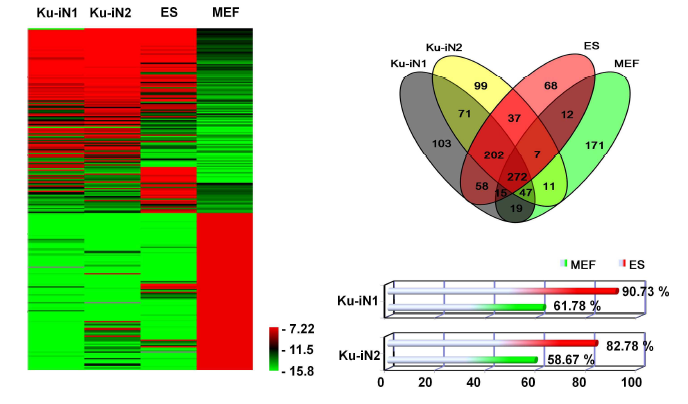 SEQUEST algorithm 이용한 Proteome 분석.