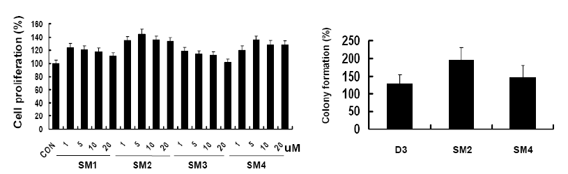 small molecule에 의한 증식 및 colony 형성 효율을 마우스 배아줄기세포주 (D3)에서 확인.